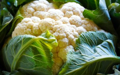 Il cavolfiore che meraviglia!