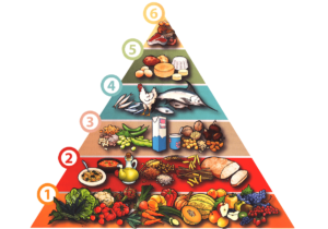 piramide alimentare toscana