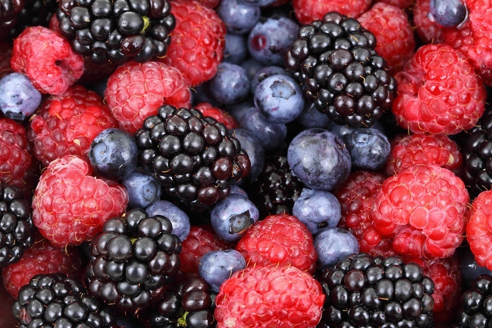 Frutta e verdura per l’estate: perchè la stagionalità è importante