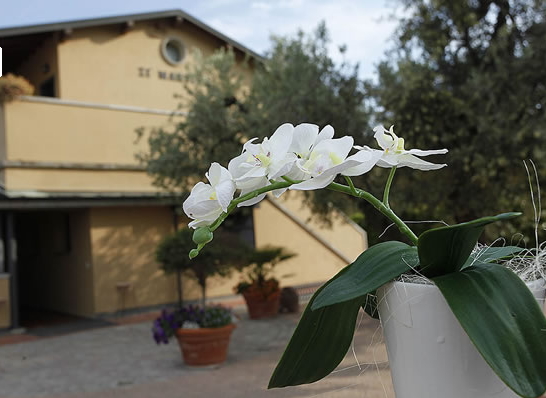 Ristorante Zi Martino