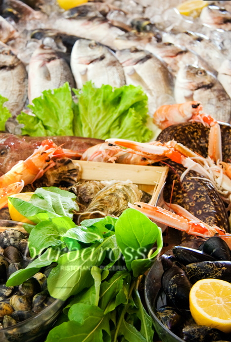 Ristorante Barbarossa