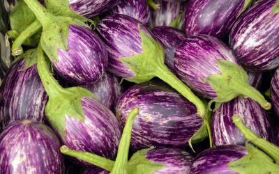 Melanzane: proprietà nutrizionali, curiosità e menù a tema