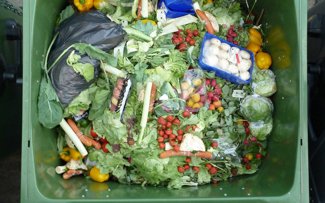 Sprecare meno, mangiare tutti. I vantaggi della lotta allo spreco alimentare per il pianeta