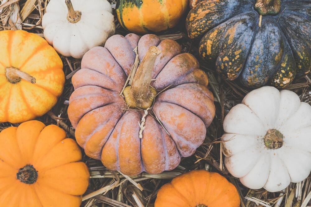 Cosa mangiare a Ottobre